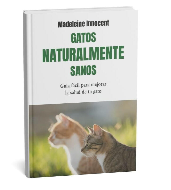 Un trozo de alita de pollo para comer (abril de 2025)